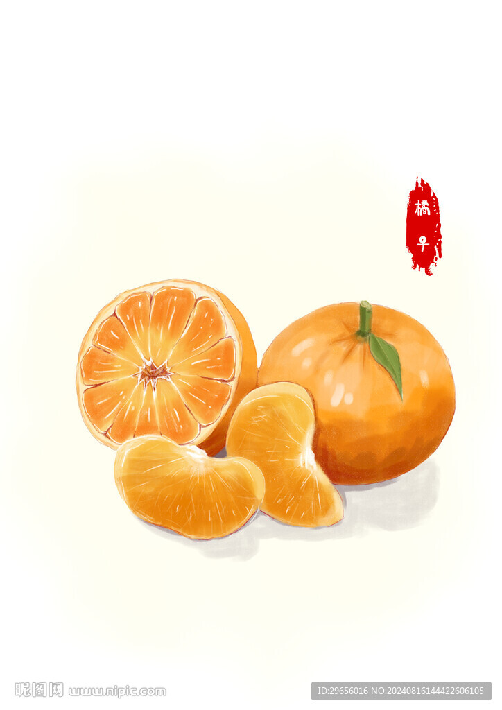 橘子插画