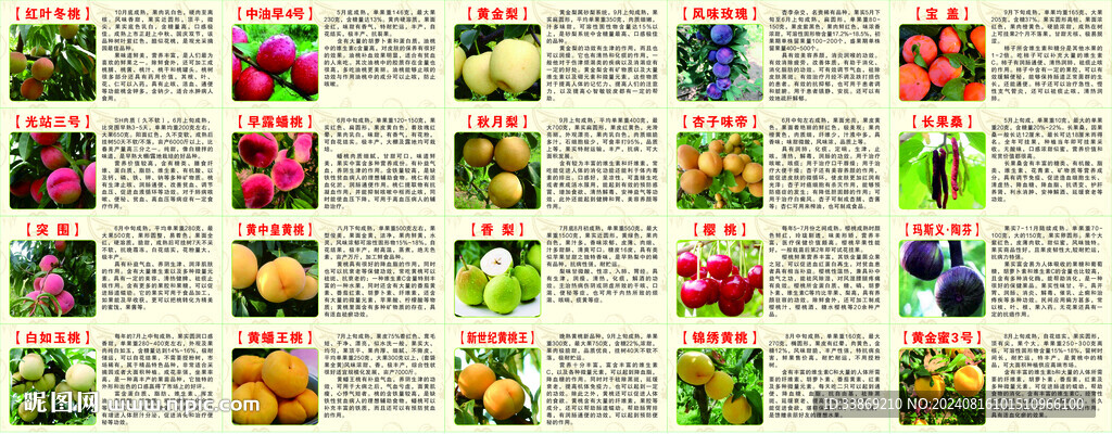 各类水果介绍