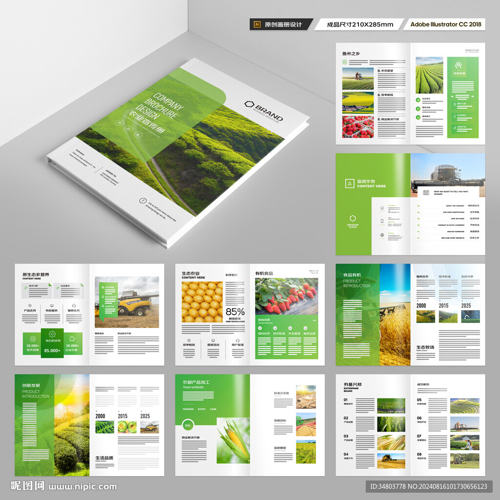 农产品画册