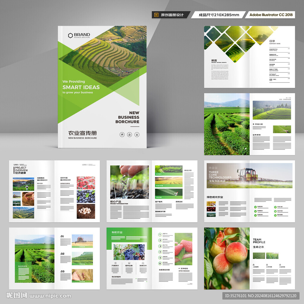 农业宣传册