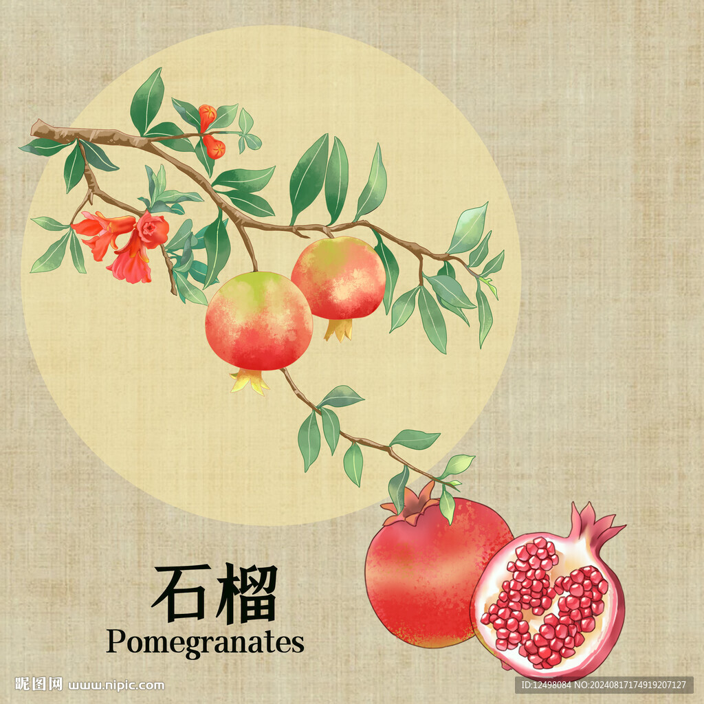 手绘石榴
