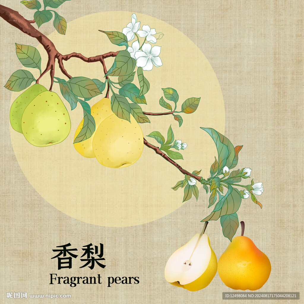 手绘香梨