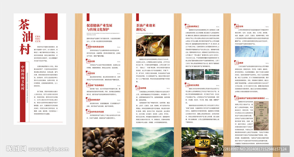 茶油介绍文化墙