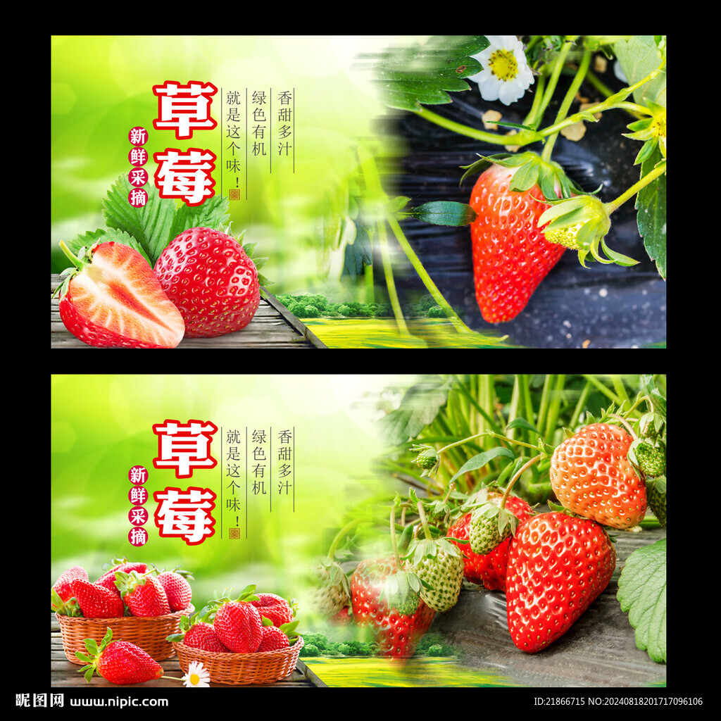 草莓