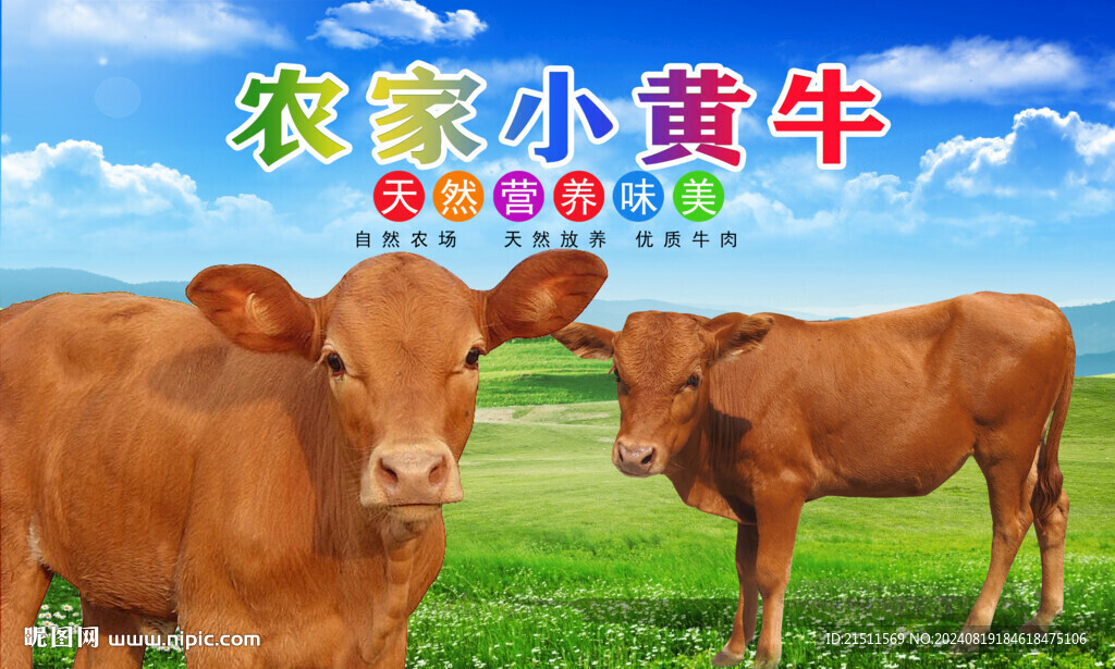 黄牛