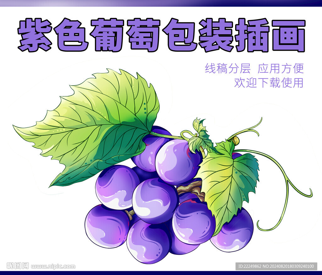 手绘葡萄