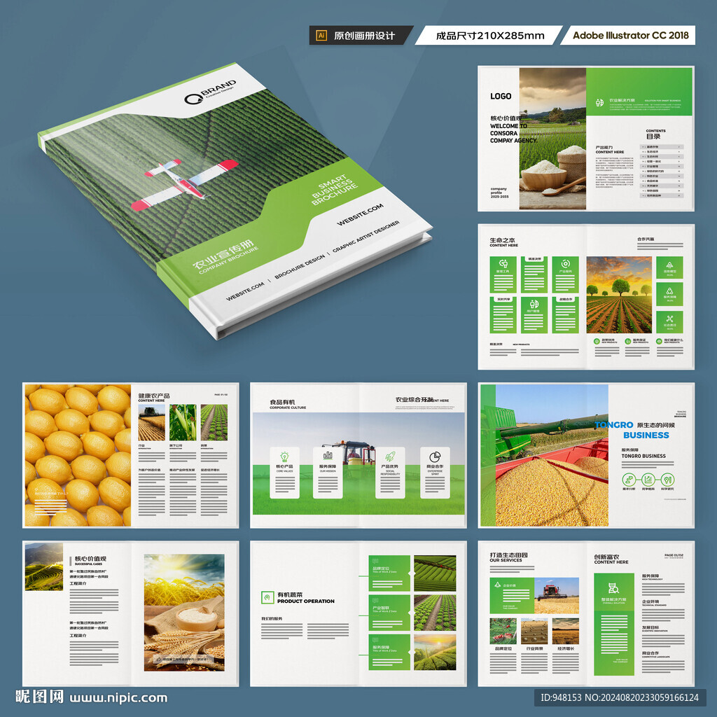 农产品宣传册