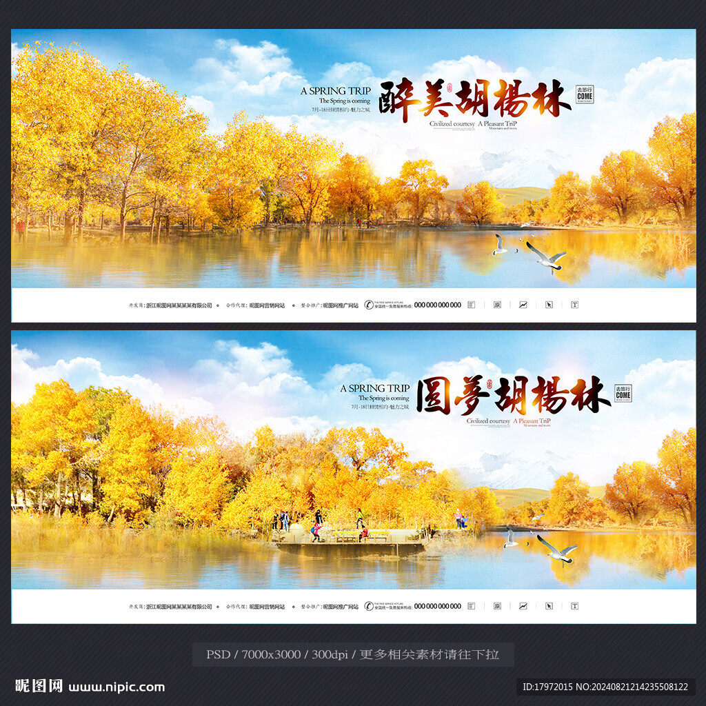胡杨林