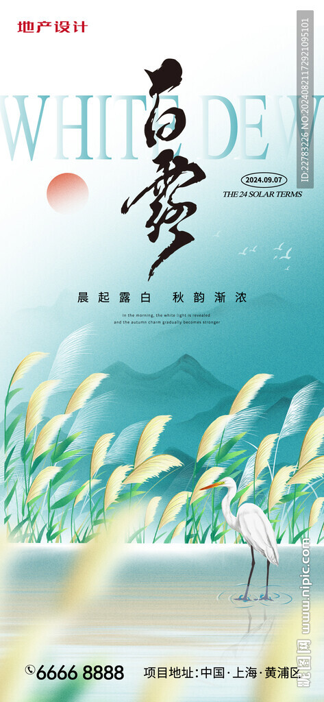 白露