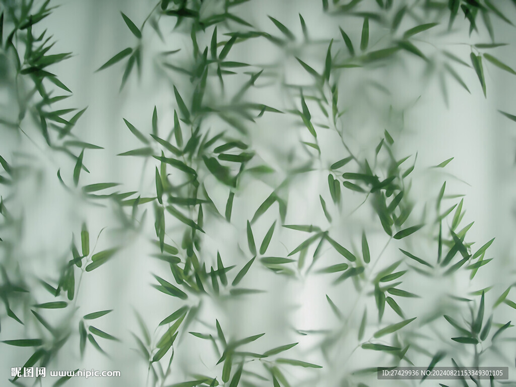 竹植物玻璃
