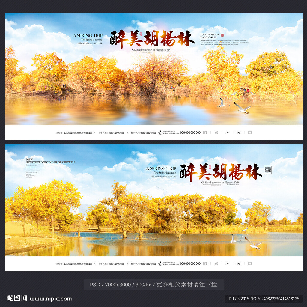 胡杨林