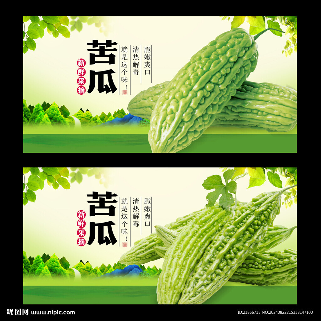 苦瓜