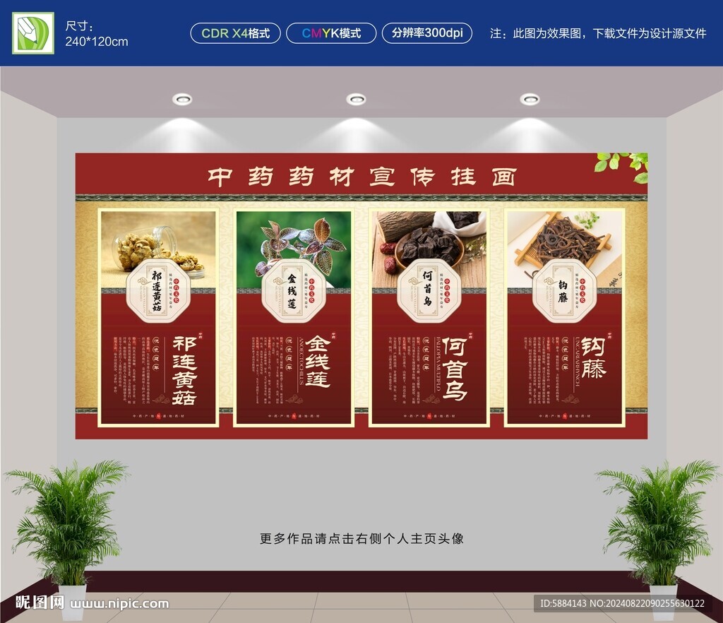 中医宣传挂画
