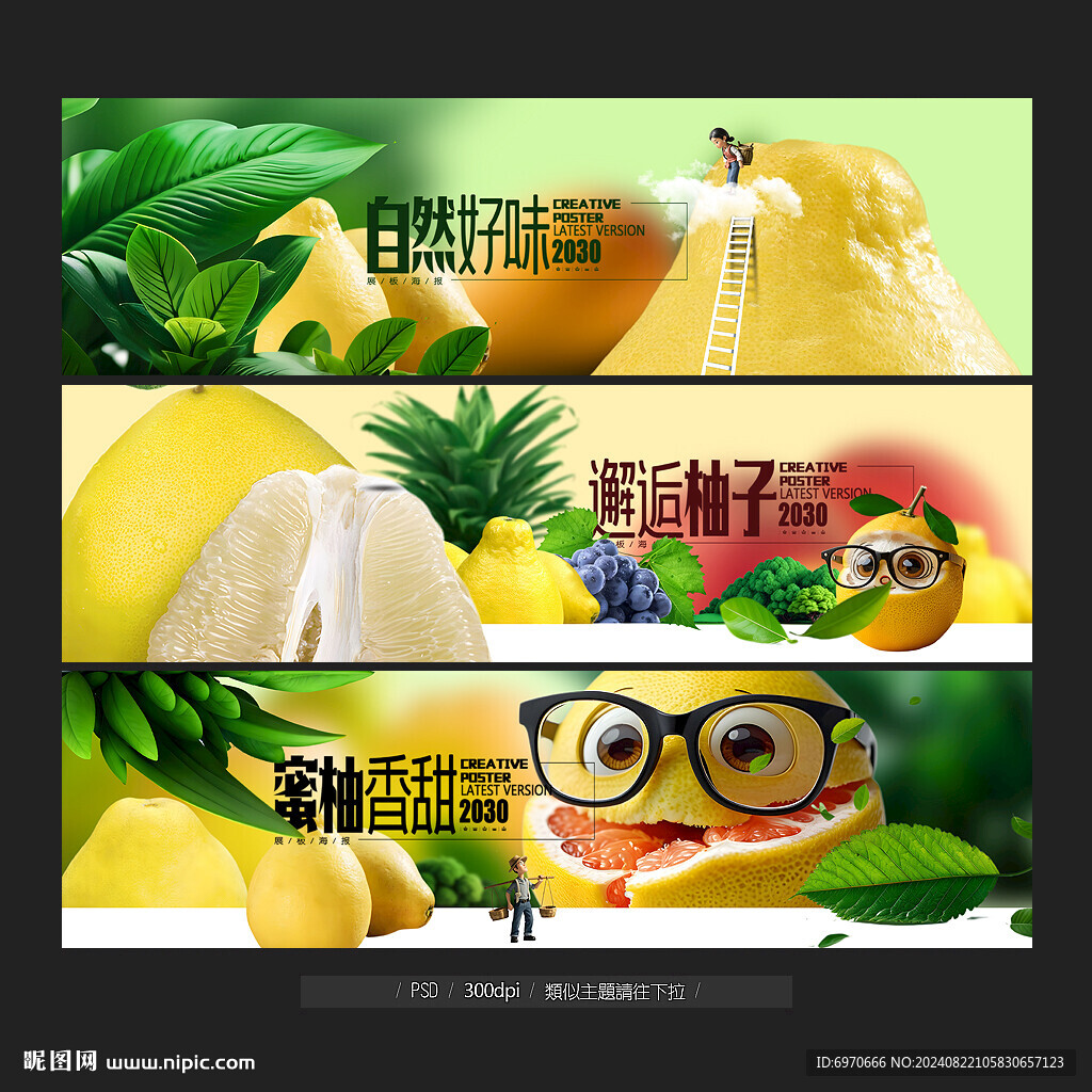 柚子海报