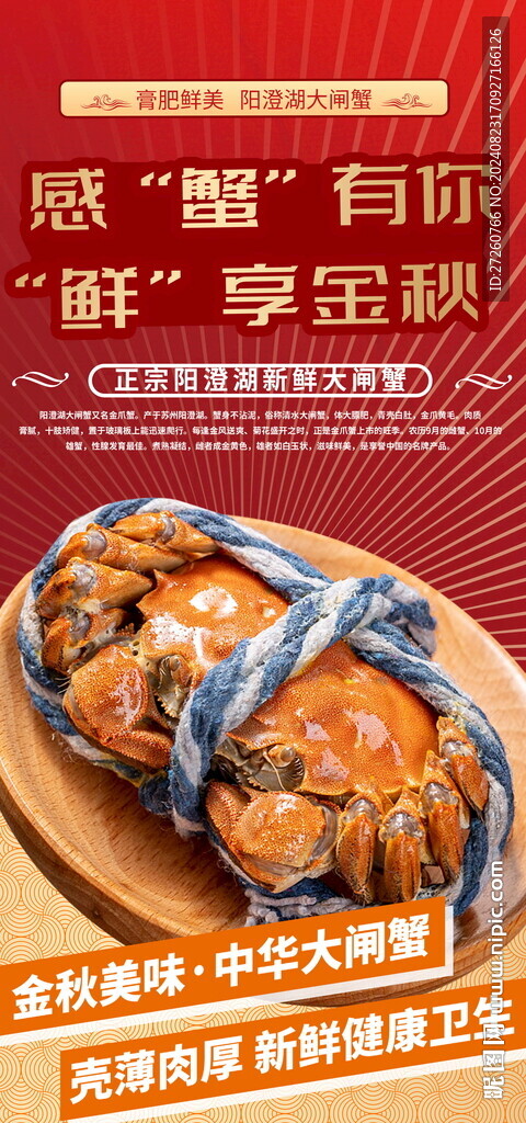 阳澄湖大闸蟹