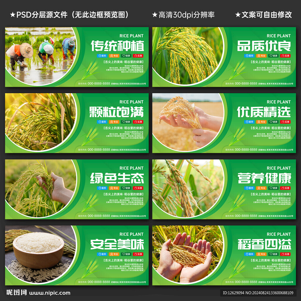水稻