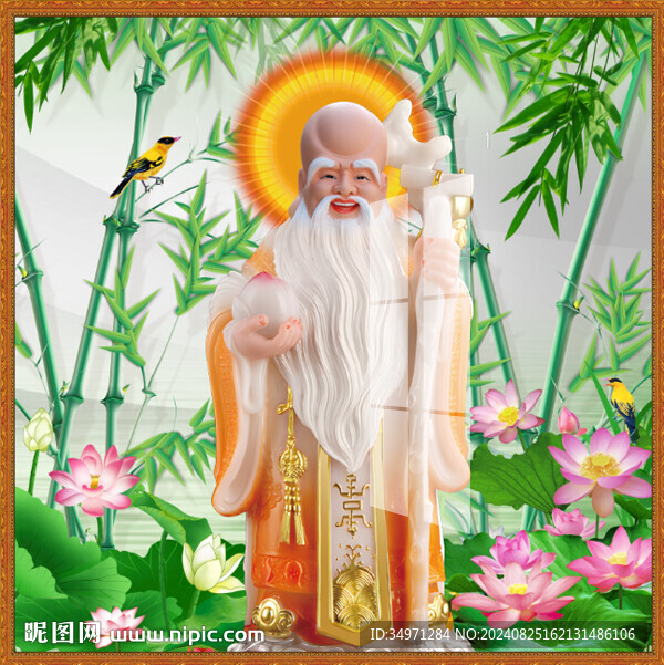 老寿星