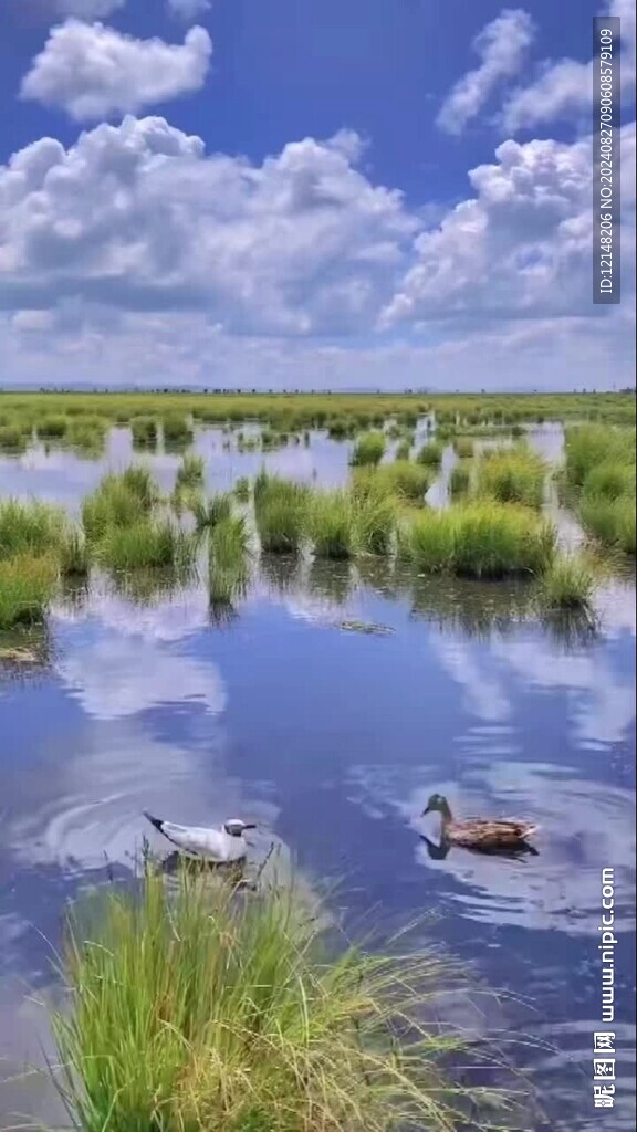 若尔盖花湖