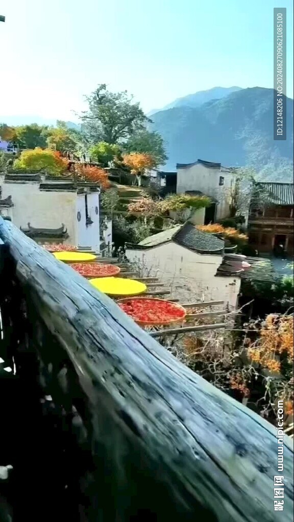 江西婺源晒秋风景