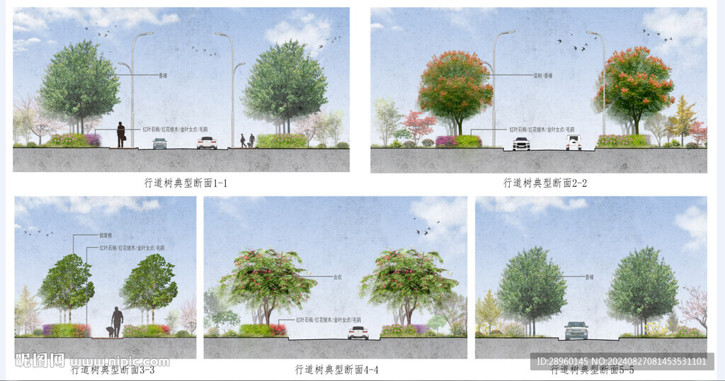 道路横断面图PSD