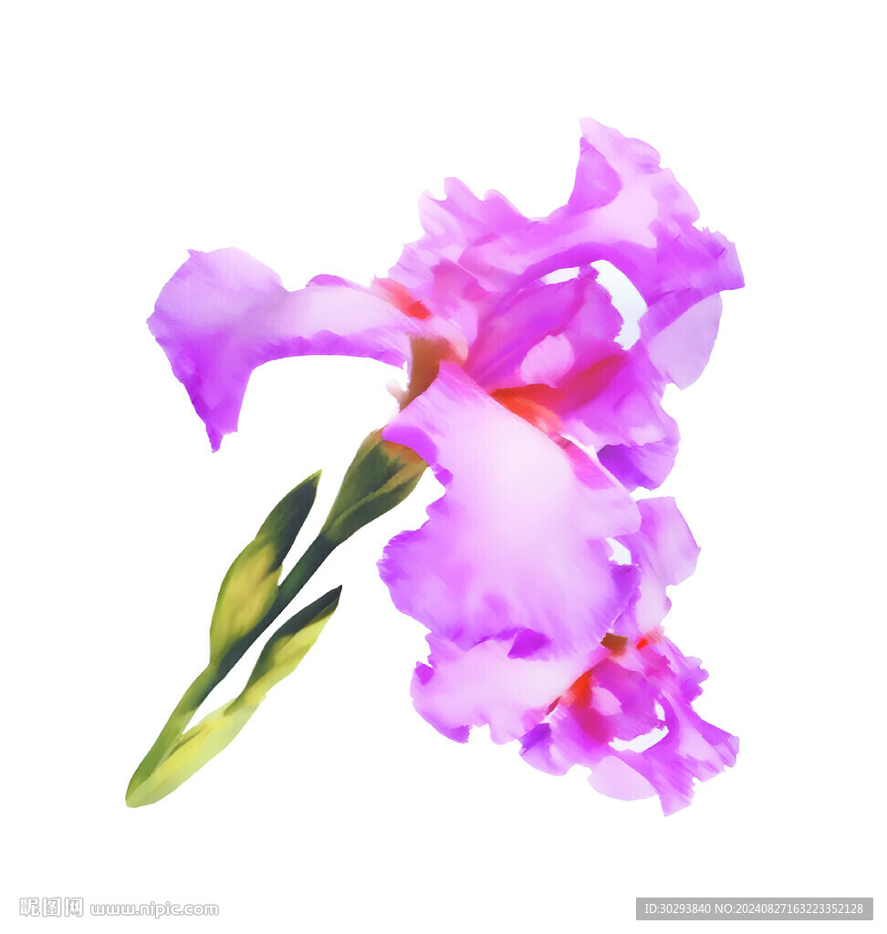 水彩花