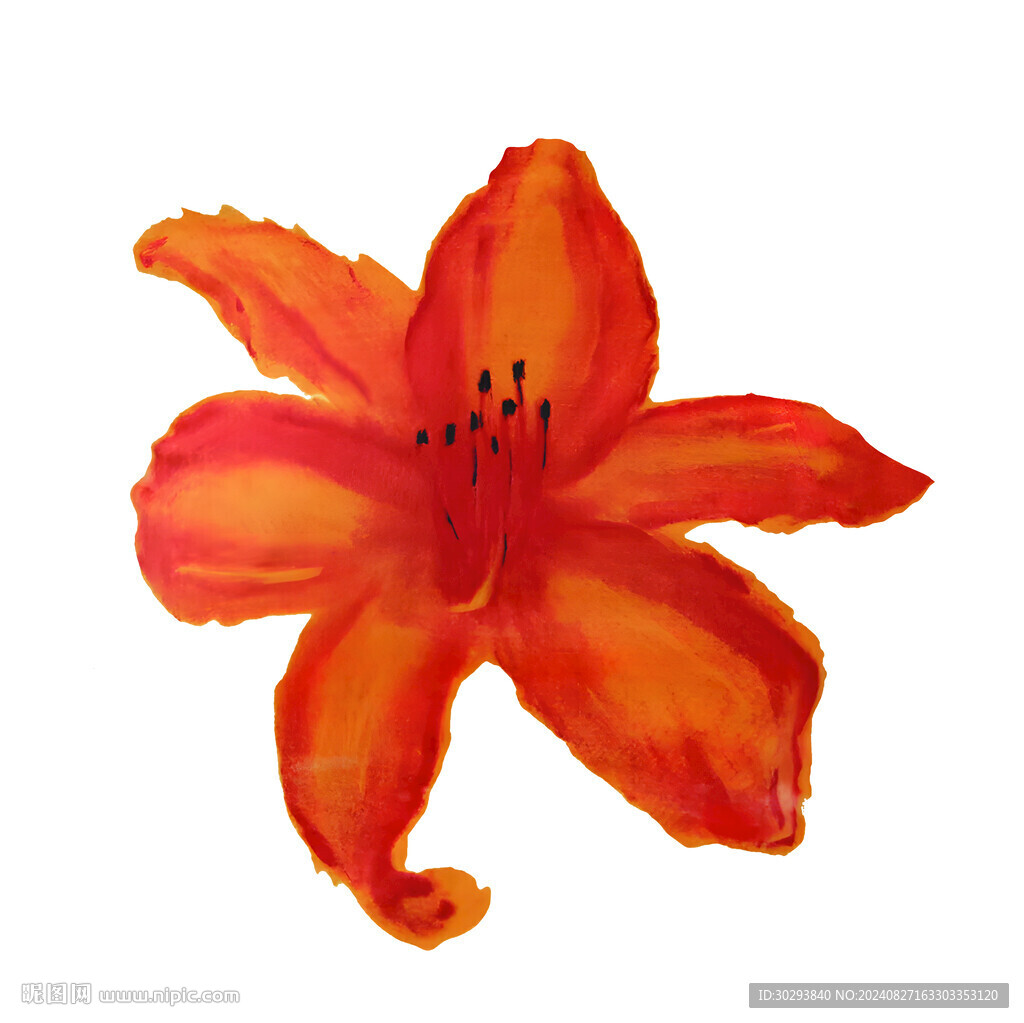 百合花