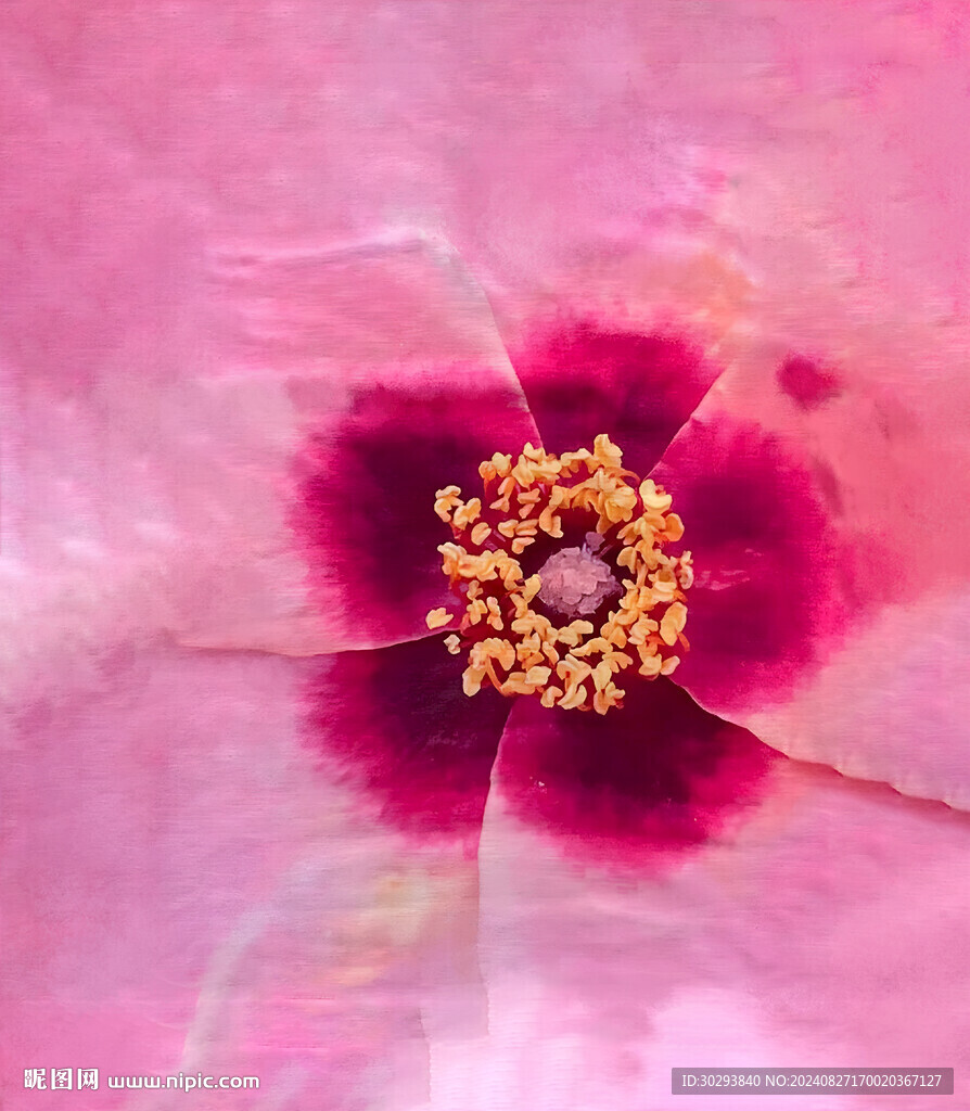 水彩花