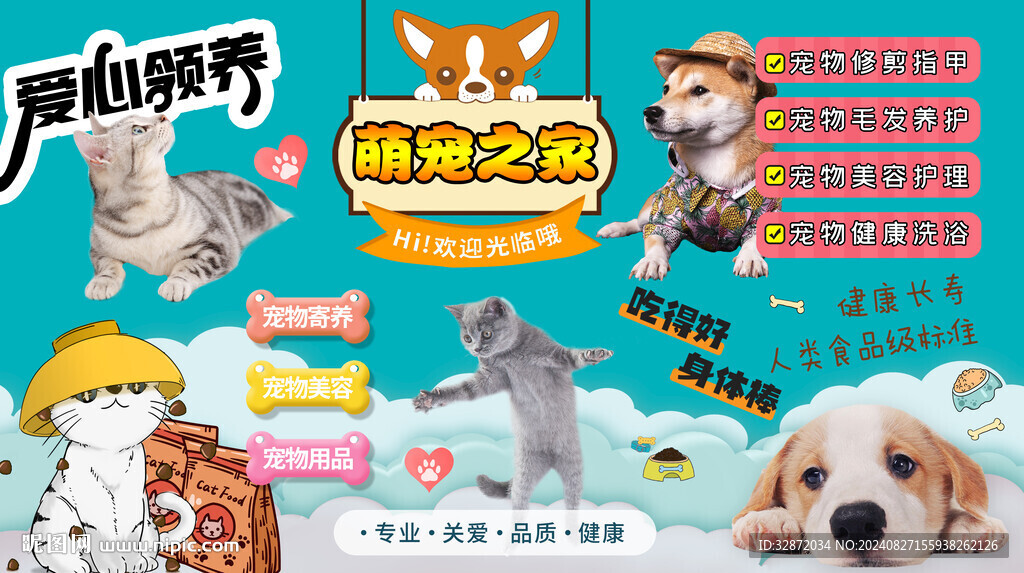 宠物店背景墙