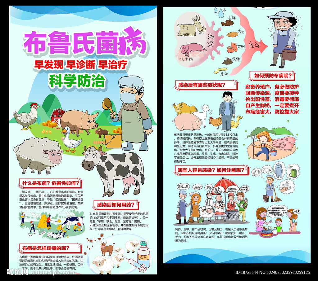 什么是布鲁氏菌病
