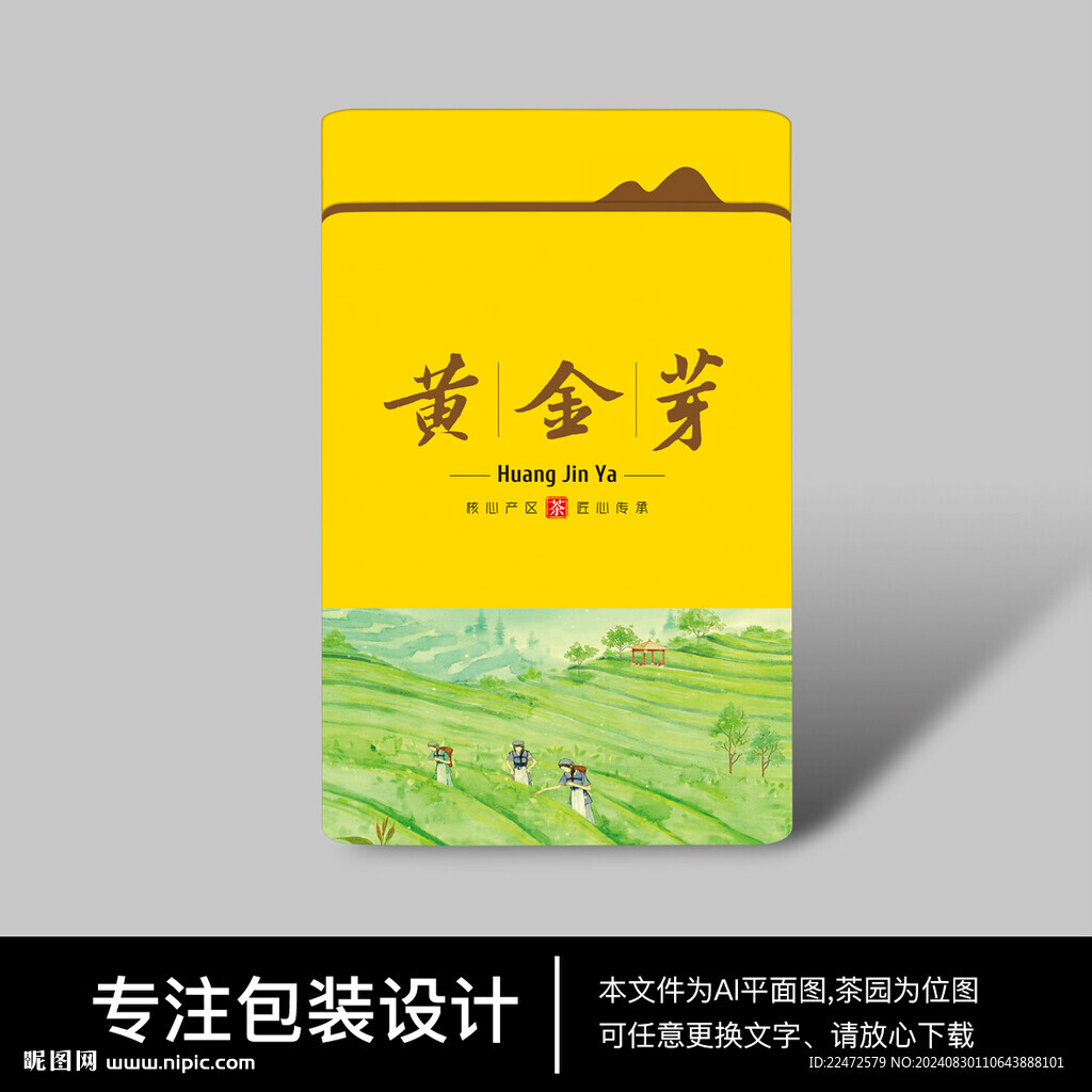 茶园黄金芽