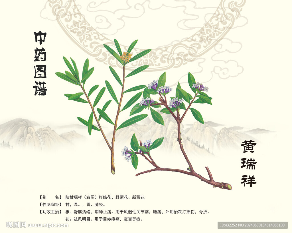 瑞香黄瑞香