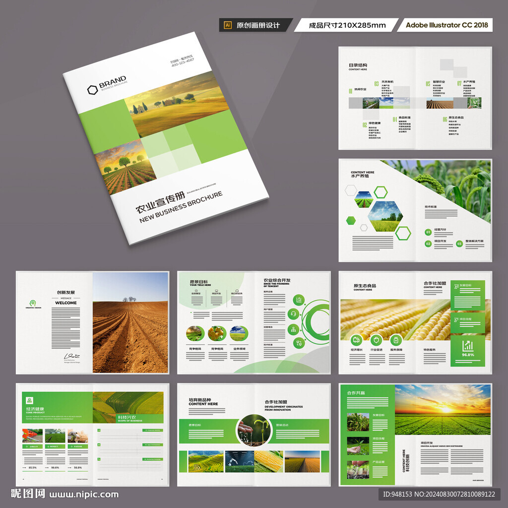 农产品宣传册