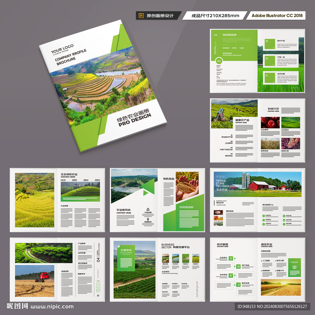 农产品宣传册