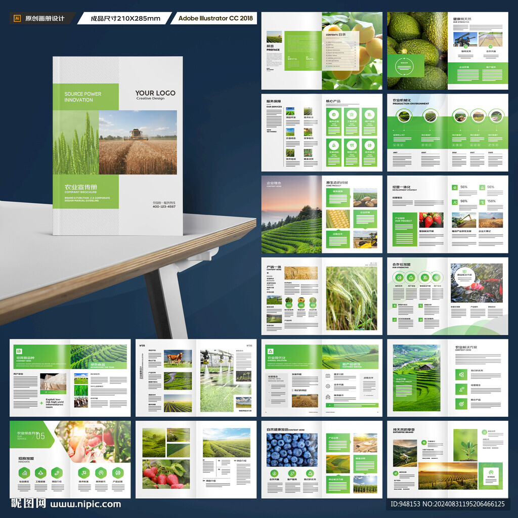 农产品宣传册