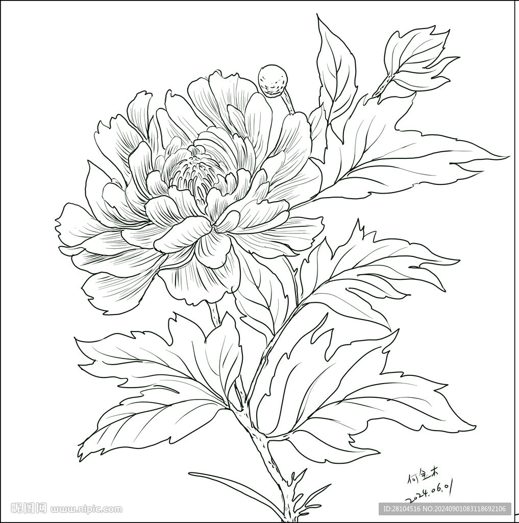 白描花卉