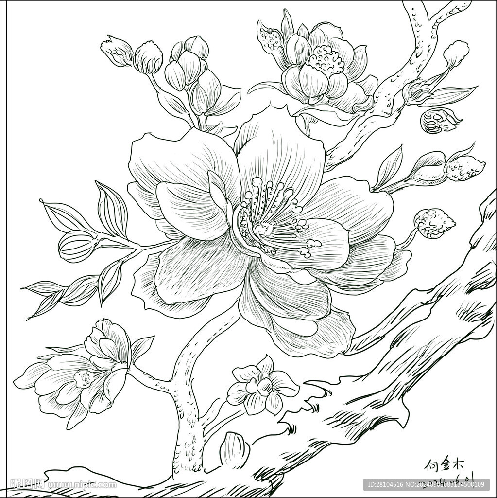 白描花卉 