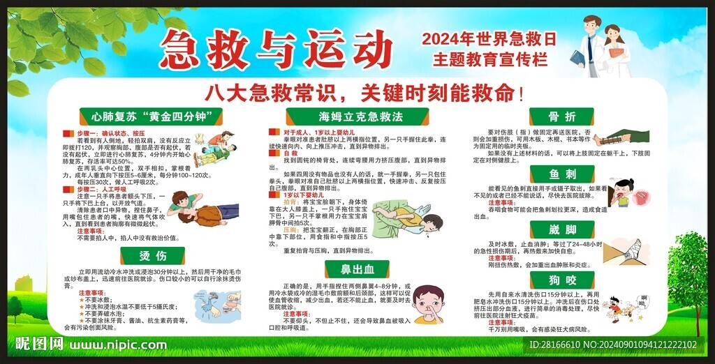 世界急救日宣传栏
