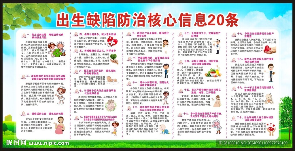 预防出生缺陷日宣传栏