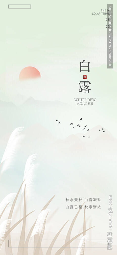 白露
