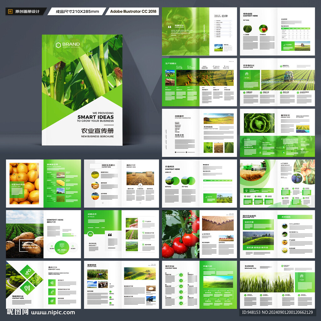 农业科技画册