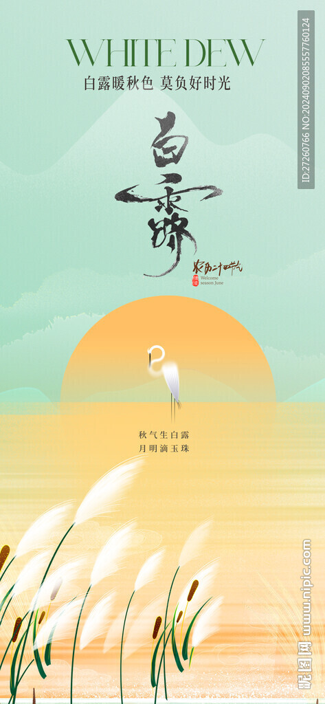 白露海报