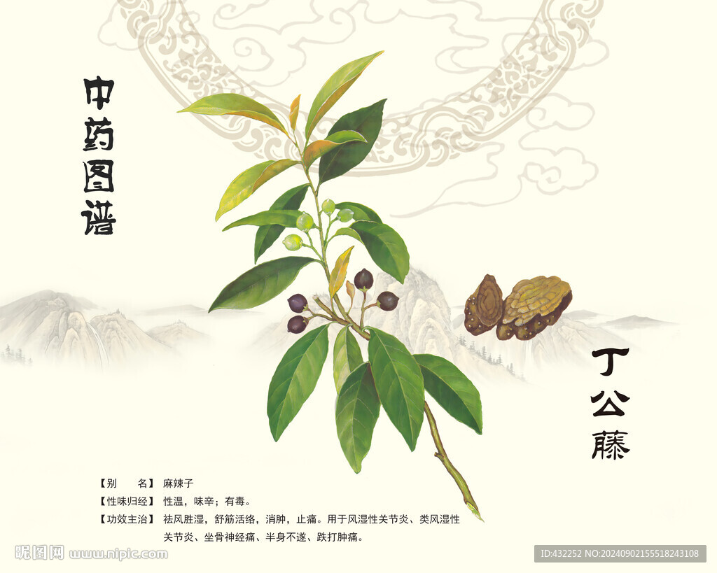 丁公藤