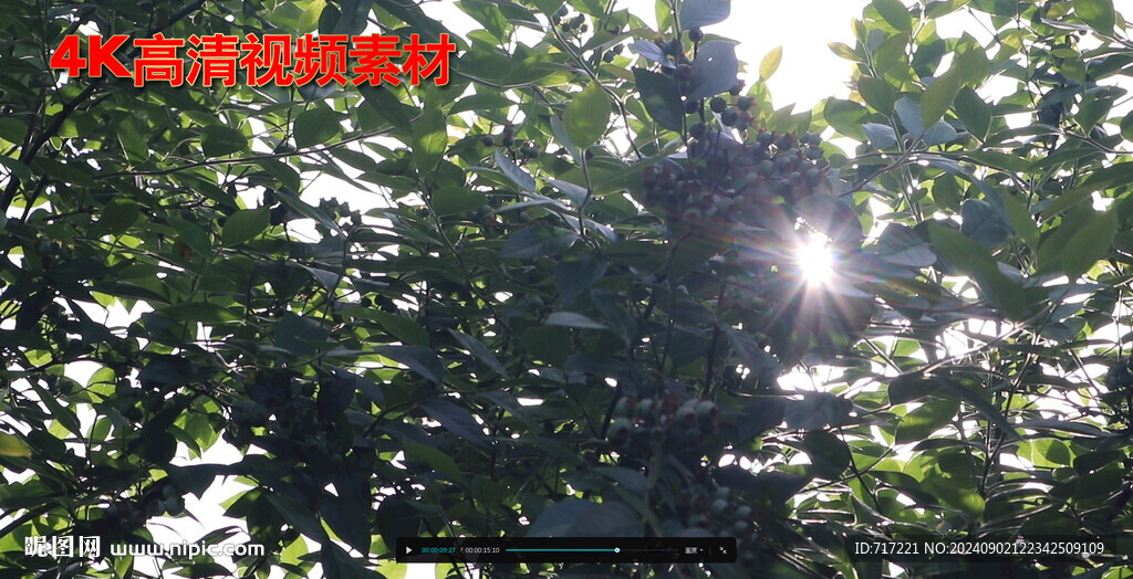  光芒实景拍摄