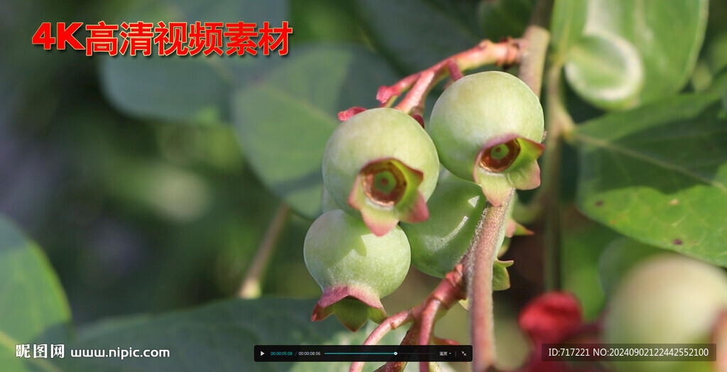 阳光下照耀