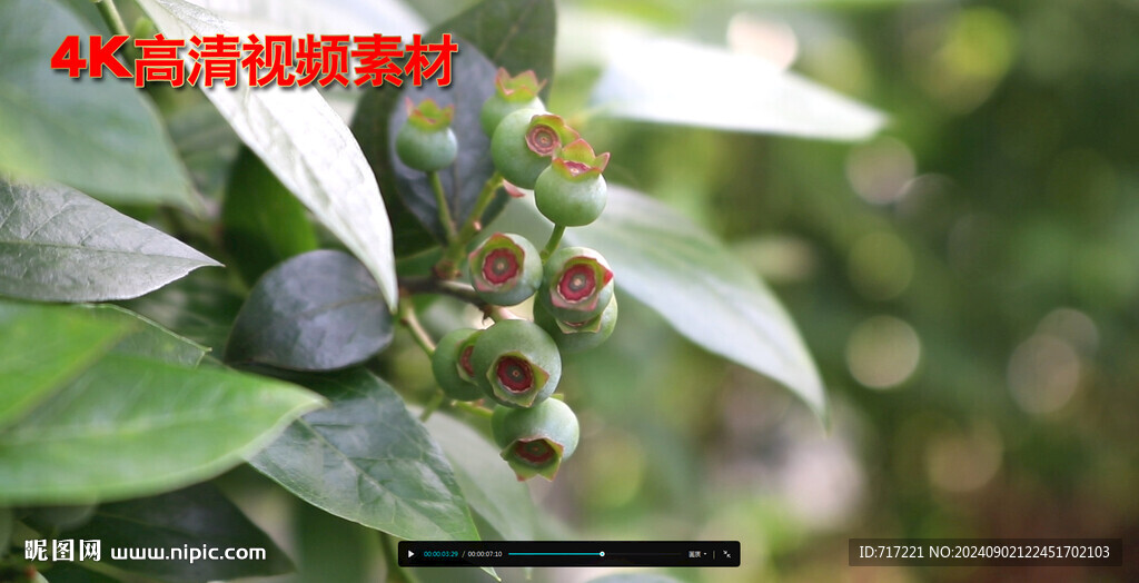 三农视频素材