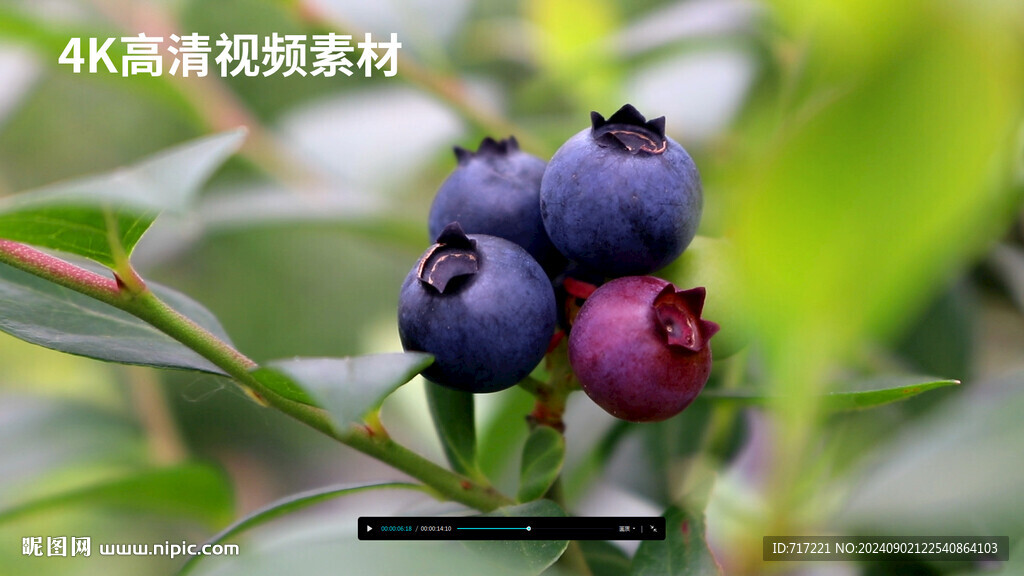 蓝色水果
