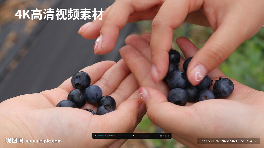 分享蓝莓