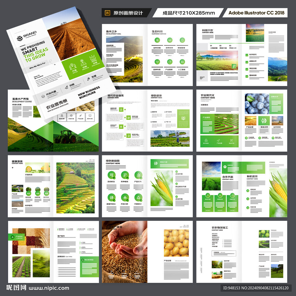 农业合作社画册