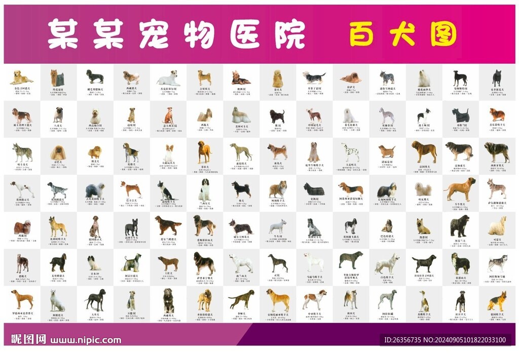 百犬图