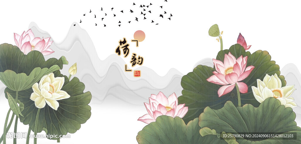 荷花
